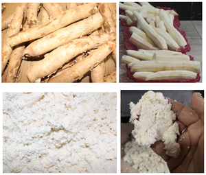 Haute Efficacité <span class=keywords><strong>Broyeuse</strong></span> De Manioc Mandioca Manioc Broyeur Râpe Broyeur Miller Manioc Farine Broyage Fraiseuse - Product Image 5