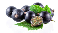 Poudre d'extrait de cassis de qualité industrielle, Anthocyanidine 5%-25%, Poudre de cassis
