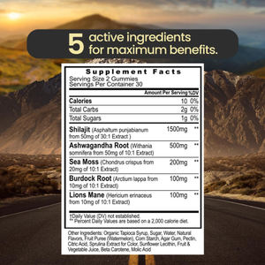 Gummies d'extrait de Shilajit Énergie Cheveux Peau Ongles 60 Comprimés Crinière de <span class=keywords><strong>Lion</strong></span> Racine de Pissenlit Énergie Masculine Soutien Immunitaire Complément Alimentaire à Base de Plantes - Product Image 2
