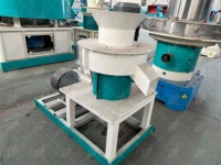 Machine à fabriquer des granulés de biomasse en bois Machine à granulés de biomasse Machine à fabriquer des granulés de sciure de bois