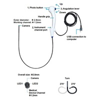 Caméra endoscope portable USB haute définition réutilisable personnalisable Nouvel instrument chirurgical vétérinaire Bronchoscopie Cystoscope