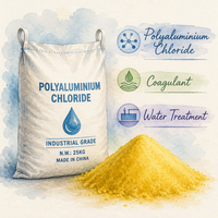 Chlorure de polyaluminium de qualité potable 30 % Al2O3