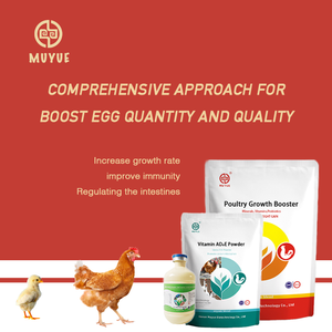 Aliment pour poulets à croissance rapide, booster d'acides aminés pour poulets de chair, prémélange commercial - Product Image 4