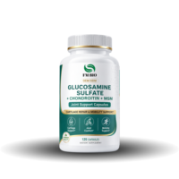 120 Capsules de Glucosamine Chondroïtine MSM – Complément pour la Mobilité Articulaire et le Soutien du Cartilage – Marque Privée OEM Disponible