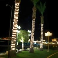 Vente en gros IP65 LED étanche néon corde bande lumineuse personnalisée bricolage découpable intérieur/extérieur décoration de vacances couleur blanche