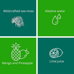 Gel orgánico de musgo marino OEM/ODM con etiquetas privadas, suplemento de apoyo a la salud para adultos, producto de belleza de Irlanda - Product Image 4