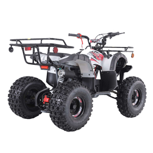 Vehículos Todoterreno Tao Motor, Nueva Motocicleta Scooter Automática China de 110cc 125cc 150cc, Patrol 150 <span class=keywords><strong>Cc</strong></span> Atv 125cc 2WD - Product Image 5
