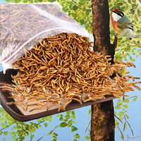 Vers de farine jaunes 100% naturels de marque OEM, nourriture pour oiseaux en gros, vers de pain séchés pour hamsters, poissons d'ornement, tortues, matière première pour la viande