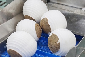 <span class=keywords><strong>Prix</strong></span> usine Butternut Jackfruit <span class=keywords><strong>Citrouille</strong></span> Ananas Noix <span class=keywords><strong>De</strong></span> Coco Melon Papaye Pastèque Taro Mangue Melon Machine À Éplucher Peau Éplucheur - Product Image 6