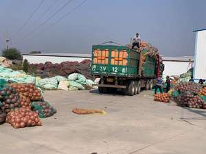 Haute flottabilité marqueur de pêche personnalisé bouées pêche PVC <span class=keywords><strong>mousse</strong></span> chalut filet pêche flotteur balle - Product Image 6