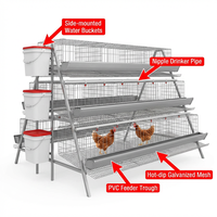 Système de cages compactes pour poules pondeuses avec réservoir de niveau d'eau visible, 3 niveaux, pour petites entreprises d'élevage, mangeoire à poulets