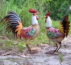 Décoration de jardin d'extérieur, art de la cour, <span class=keywords><strong>coq</strong></span> artificiel <span class=keywords><strong>en</strong></span> métal - Product Image 1