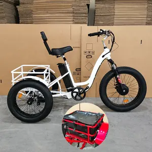 Nouveau Tricycle électrique 24 pouces Gros pneu adulte 48V250W 500W 750W 3 roues Cargo vélo électrique Tricycle électrique Cargo