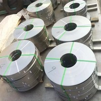 Bande de ferrochrome FeCrAl 0Cr21Al6 de haute qualité