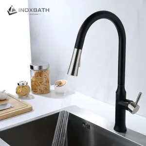 North American pull out pulldown pressurized pressure sprayer matte black kitchen faucet tap