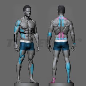 Gimnasio Deportes Elástico Fitness Parche Impermeable Atletas Hombro <span class=keywords><strong>Espalda</strong></span> Músculo Kinesiología Cinta - Product Image 3