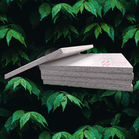 Tablero de MgO Premium con Excelente Planitud para Laminación, Pintura y Decoración de Interiores
