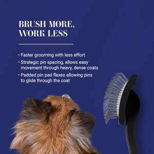 Brosse professionnelle pour chien grand <span class=keywords><strong>noir</strong></span> économise de l'énergie pour le toilettage Goldendoodles Labradoodles - Product Image 2
