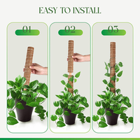 Support de grimpement pliable écologique en mousse pour plantes Monstera, palmiers coco d'intérieur, longueur personnalisable