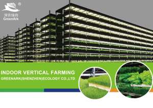 Pour <span class=keywords><strong>chambre</strong></span> <span class=keywords><strong>de</strong></span> <span class=keywords><strong>croissance</strong></span> des plantes, barre <span class=keywords><strong>de</strong></span> floraison, système <span class=keywords><strong>de</strong></span> <span class=keywords><strong>culture</strong></span>, jardin d'herbes, système <span class=keywords><strong>de</strong></span> pot d'arrosage automatique, démarreur, plateaux <span class=keywords><strong>de</strong></span> <span class=keywords><strong>culture</strong></span>, maison <span class=keywords><strong>de</strong></span> <span class=keywords><strong>culture</strong></span> - Product Image 2