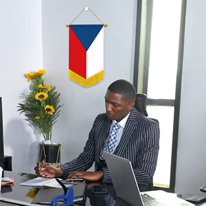 Drapeaux miniatures en gros pour voiture 20x30cm République tchèque Décoration murale Petits ornements suspendus Impression numérique - Product Image 2