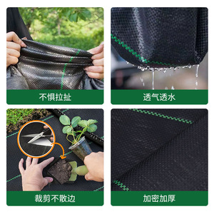 Weed Control Fabric Black Non Woven Geotextile For Gardens Greenhouses Agriculture Water Permeable Breathable HDPE Material - Product Image 2