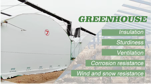 Invernadero Agrícola para Cultivo de Hongos Satrise, Invernadero de Gran Tamaño STG-1/STG-2 para el Cultivo de Hongos - Product Image 4