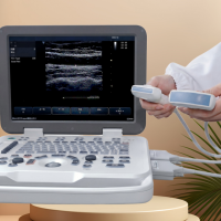 Alat USG Veteriner SONOIMAGE N20 CE dengan Visualitas Jernih dan Instrumen Tahan Lama untuk Diagnostik Peternakan di Pedesaan
