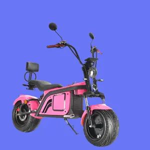 Adult Electric Moped 1000W Disc Brake Motorcycle With Roof Trade 1000W Electric Dirt Bike Motorcycle With 2 Wheels