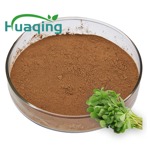 Sampel Gratis Ekstrak <span class=keywords><strong>Bacopa</strong></span> <span class=keywords><strong>Monnieri</strong></span> Kualitas Tinggi Bacoside - Product Image 2