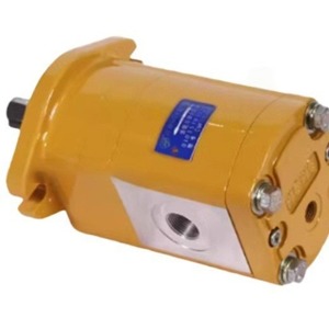Bomba Hidráulica Changyuan CMFDA-E325-ALPS con Motor Eléctrico de Engranajes, Instalación Roscada, Flujo Cuantitativo - Product Image 2