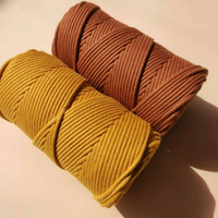 Vente en gros de cordon tressé décoratif coloré DIY corde 4mm cordon macramé cordon en coton tressé