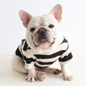 Venta al por mayor pequeño oso pardo Sudadera con capucha de poliéster ecológico invierno todo-fósforo ropa para perros gordos Yingdou Bago <span class=keywords><strong>Koki</strong></span> - Product Image 2