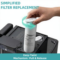 Purificateur d'eau RO de comptoir à chauffage instantané, système de filtration par osmose inverse, distributeur d'eau potable portable avec affichage TDS
