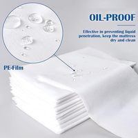 Draps de brancard jetables prépliés non tissés pour examen hospitalier, écologiques, respirants, 80x200cm, pour usage médical, chirurgical et esthétique