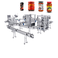 Pompe à engrenages de machine d'animal familier de liquide visqueux pour la ligne de production de sauce de boisson contrôle de PLC pour des boîtes/sacs de barils de bouteilles en verre