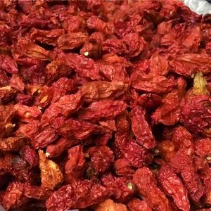 Piment <span class=keywords><strong>Carolina</strong></span> Reaper Super Épicé du Yunnan Chine, Piment Shuan Shuan en Gros pour la Transformation Alimentaire - Product Image 4