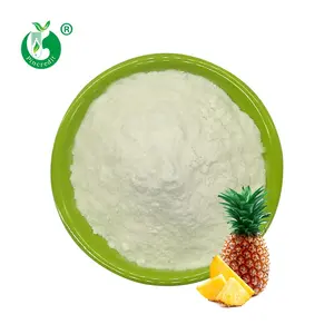 Pó de suco de abacaxi concentrado orgânico de alta qualidade