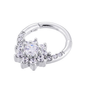 Anneau de Piercing en métal éternel ASTM F136 en titane Zircon cubique Segment bijoux de Piercing - Product Image 1