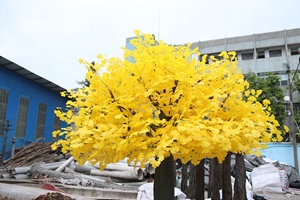 Alberi di <span class=keywords><strong>Ginkgo</strong></span> Biloba Artificiali Personalizzati con Foglie Gialle per Decorazioni Paesaggistiche Autunnali - Product Image 3