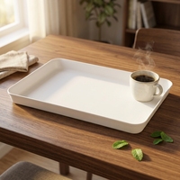 Extra diepe dikke PP schaaltjes; Rechthoekige schaal voor thuis, hotels, restaurants; Fruitplateau, theeschaal, moderne minimalistische schaal