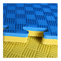 Tapis de jeu en mousse EVA, puzzle, exercice, sol souple, tatami de taekwondo, tapis imperméable de 2,5 cm d'épaisseur pour gymnase