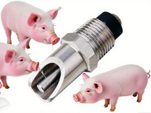 NL708 ciotola per bevitori di capezzoli di maiale in ottone o acciaio inossidabile 304 in acciaio inossidabile bevitore di acqua 1/2 "suini bevitore di suini attrezzature per l'allevamento di suini - Product Image 4