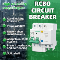 Disjoncteur différentiel (RCBO) DZ47LE-63 1P+N 2P 3P+N 4P 6A 10A 16A 20A 25A 32A 40A 50A 63A 30mA 100mA 300mA 6KA Courbe C
