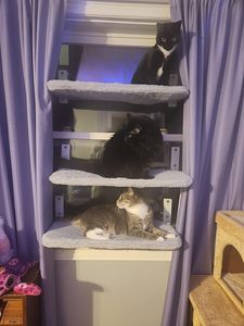 Hamaca inalámbrica con ventana para gatos, cama con dos cubiertas reemplazables, hamaca con ventana para gatos, hamaca para mascotas, camas para gatitos, nido con ventana - Product Image 5