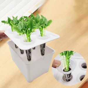 Amantes <span class=keywords><strong>de</strong></span> las hierbas Cultivo <span class=keywords><strong>de</strong></span> agua interior Kit <span class=keywords><strong>de</strong></span> cultivador Macetas y jardineras <span class=keywords><strong>de</strong></span> <span class=keywords><strong>riego</strong></span> automático - Product Image 2