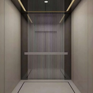 Ascenseur résidentiel électrique économique 2-4 étages, entraînement AC, pour 6 personnes, machine de traction sans engrenages, revêtement PVC - Product Image 1