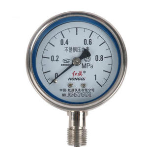 Manómetro Y60BF, 0-40MPA, Radial, Totalmente de Acero, 65 mm, Interfaz PT1/4, Marca JIANGYUE, Nuevo y Auténtico - Product Image 2