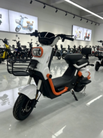 Vélo électrique chinois le moins cher, 350W 48V, longue autonomie, vélo électrique urbain populaire