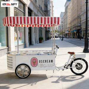 Tricycle à moteur en fibre de verre électrique pour les entreprises mobiles de crème glacée et de restauration rapide avec congélateur - Product Image 2